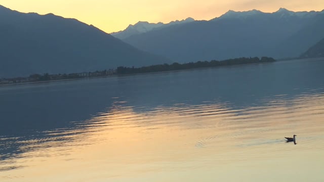 Art Hotel Posta al lago/ Ristorante Rivalago/Residenza Bettina - Klicken, um das Video zu öffnen