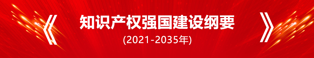 知识产权强国建设纲要