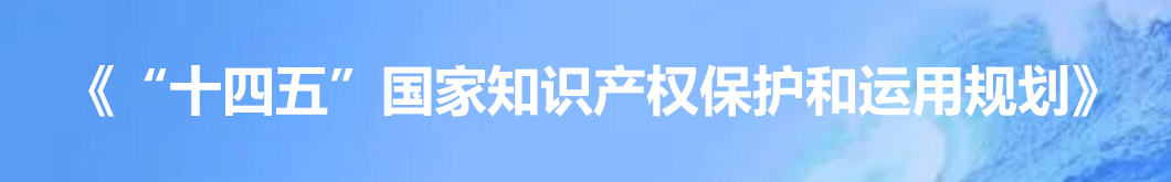 “十四五”国家知识产权保护和运用规划