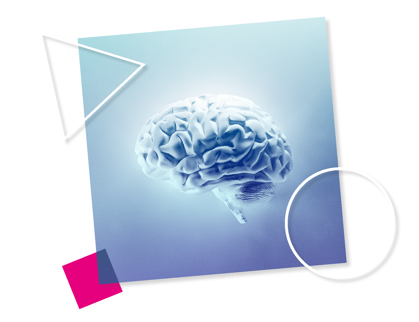 stylised graphic of a human brain