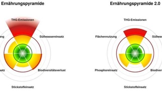 Kreisdiagramm, Gegenüberstellung alte und neue Ernährungspyramide 