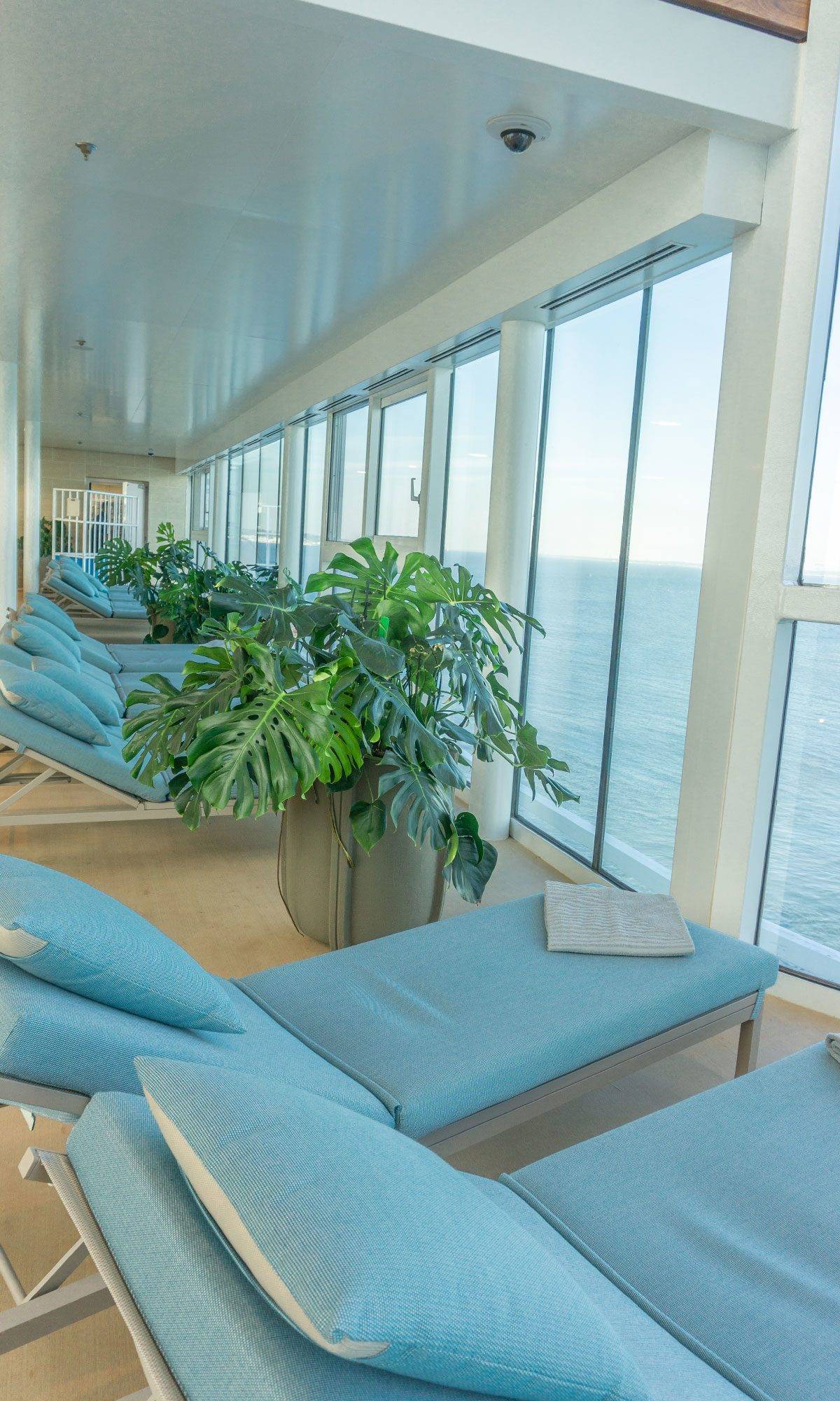 Celebrity Edge Solarium