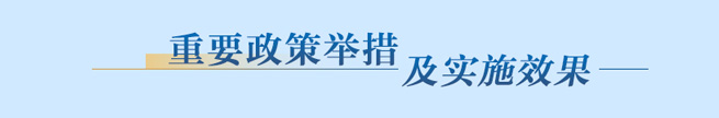 重要政策举措及实施效果