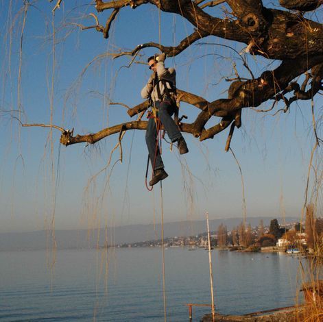 Secret de jardin - paysagiste eco-responsable - abattage acrobatique