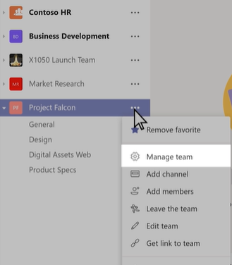 Image showing Team name with more options ellipse and manage team highlighted from drop down options