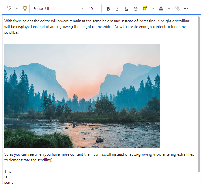 Screenshot that illustrates that with a fixed height, when enough content is added to the rich text area, a scroll bar appears.