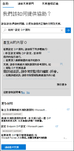 Microsoft Purview 入口網站說明及支援。