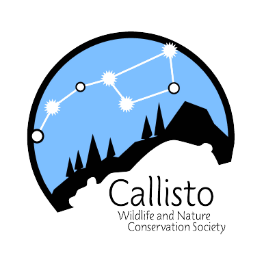 callisto