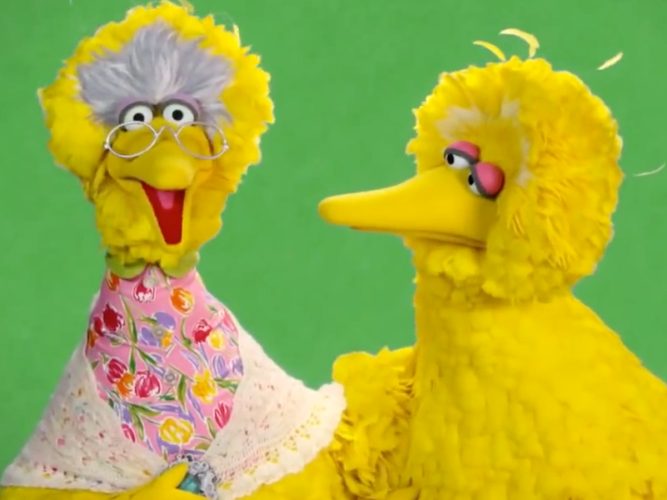 Big Bird and Granny Bird.