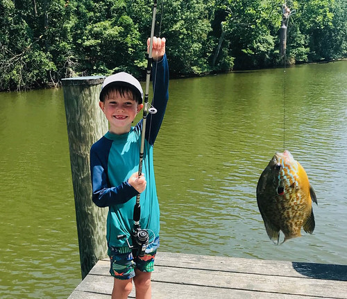 Photo of boy holding a fish on the end of his line