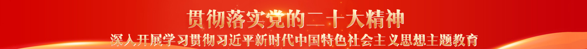 贯彻落实党的二十大精神 深入开展学习贯彻习近平新时代中国特色社会主义思想主题教育