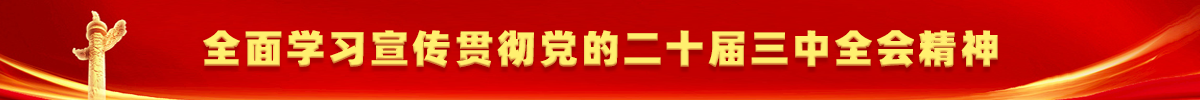 全面学习宣传贯彻党的二十届三中全会精神