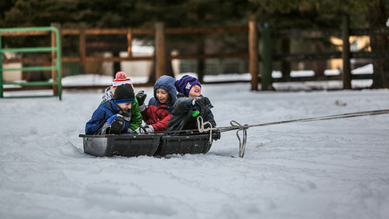 Children being dragged in a sled