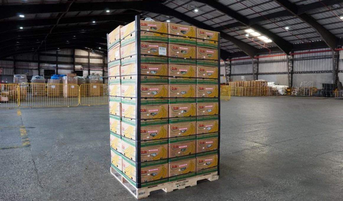 Portuguese Authorities Seize Nearly 3.5 Tonnes of Cocaine Hidden in Banana Pallets