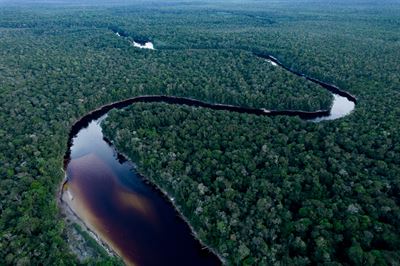 Image by Felipe Rodriguez -Pira Parana Fundcacio n Gaia Amazonas Milkywire