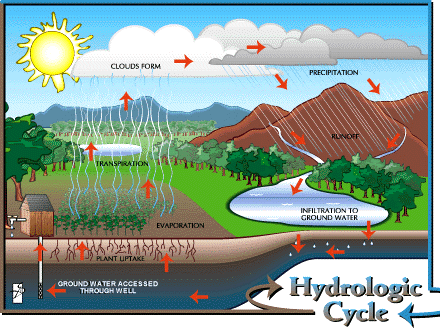 Hydrologic Cycle