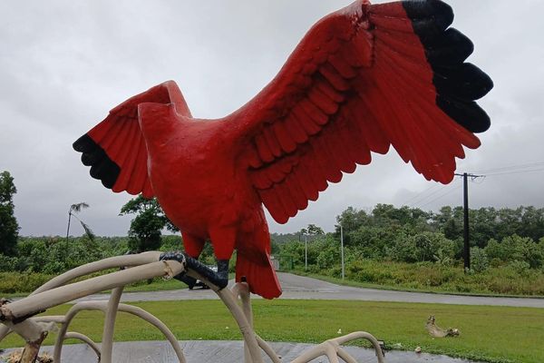 L’Ibis Rouge de Sinnamary une nouvelle fois détruit