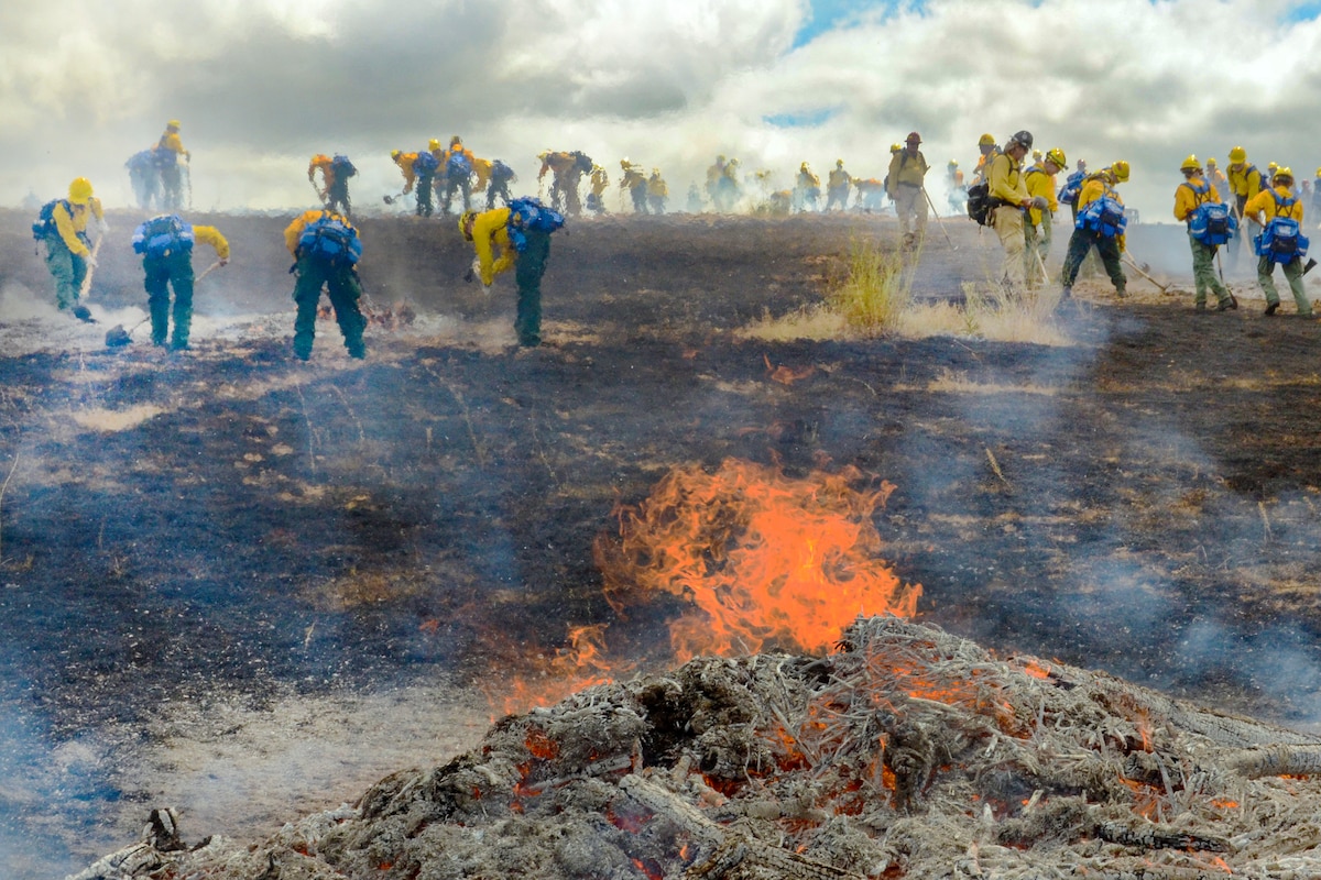 Guardsmen stand behind flames.