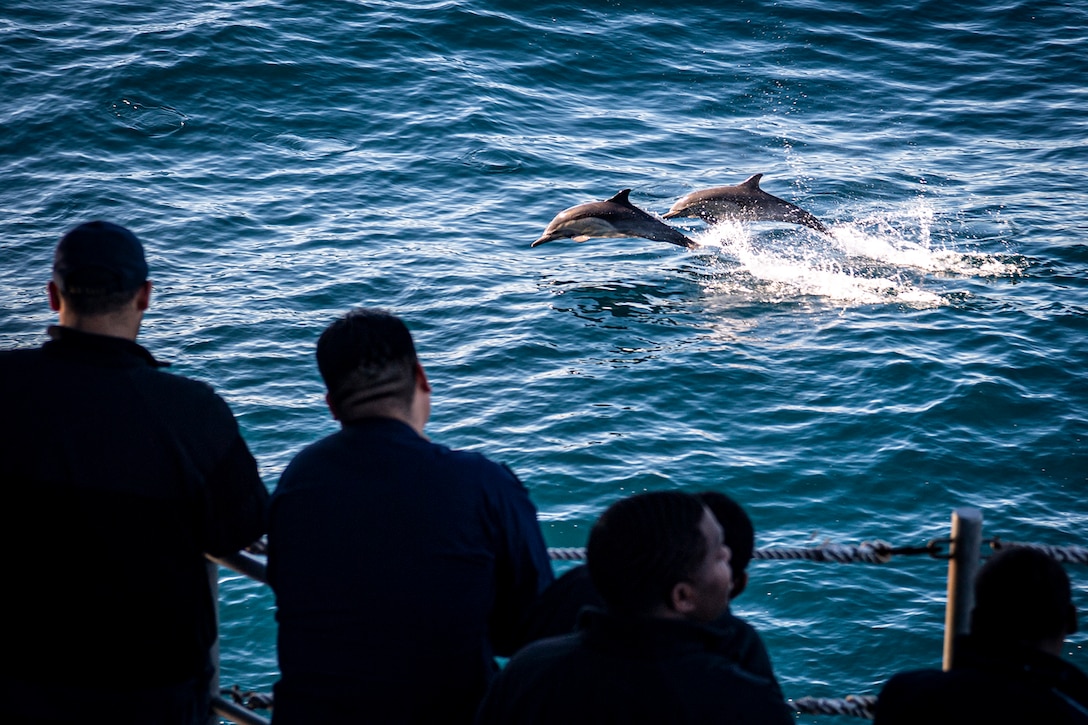 Several sailors on a ship's deck observe two dolphins break the surface.