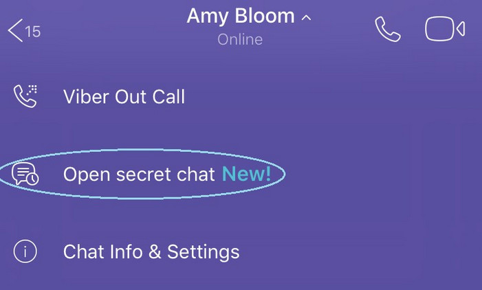 viber feature 6 open secret chat