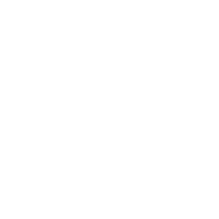 Visual IVR