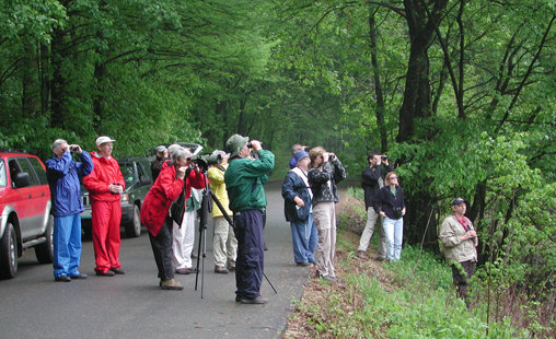 Go Birding in Missouri