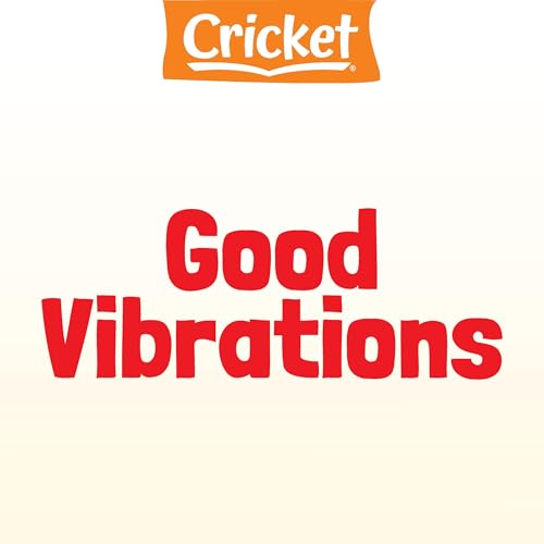 Good Vibrations Audiobook By Amy Tao cover art