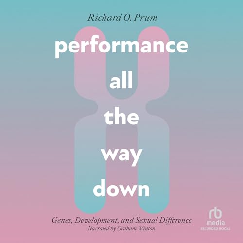 Performance All the Way Down cover art