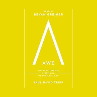 Awe Audiolibro Por Paul David Tripp arte de portada