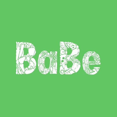 BaBe cover art