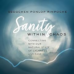 Sanity Within Chaos Titelbild