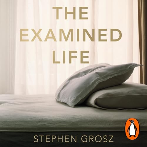 The Examined Life Audiobook By Stephen Grosz cover art