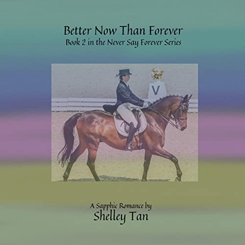 Better Now than Forever cover art