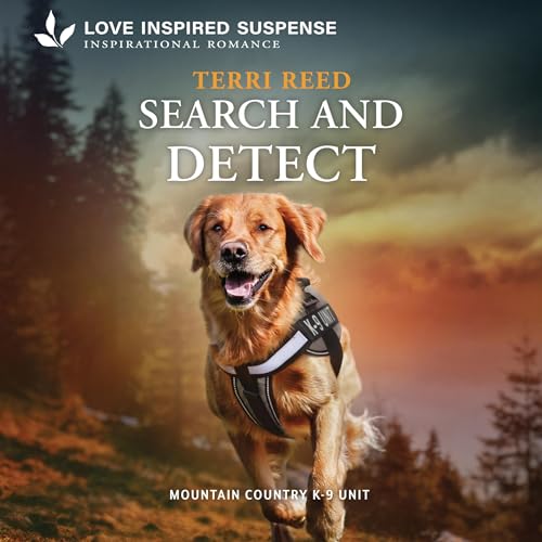 Search and Detect cover art