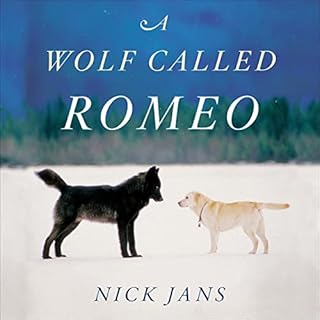 A Wolf Called Romeo Audiobook By Nick Jans cover art