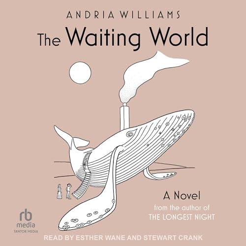 The Waiting World Audiolivro Por Andria Williams capa