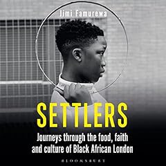 Settlers cover art