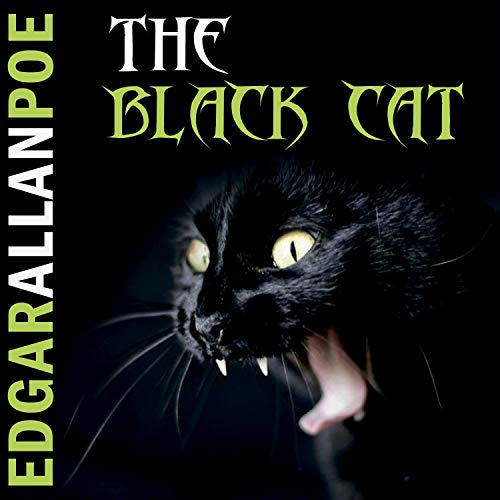 The Black Cat cover art