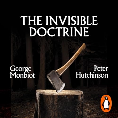 The Invisible Doctrine cover art