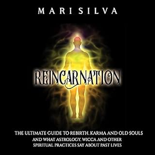 Reincarnation Audiolibro Por Mari Silva arte de portada