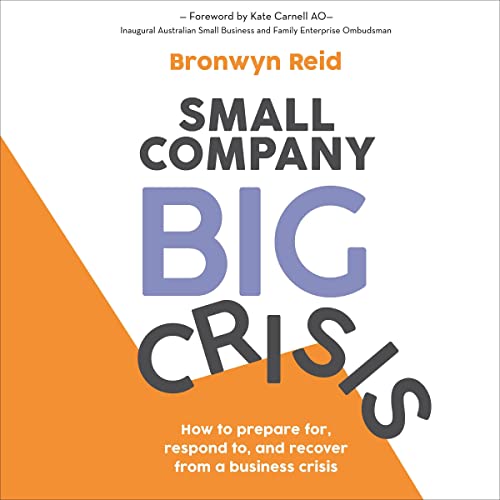 Couverture de Small Company Big Crisis