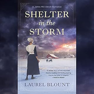 Shelter in the Storm Audiobook By Laurel Blount cover art