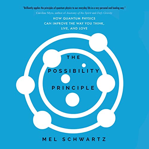 The Possibility Principle Audiolivro Por Mel Schwartz capa