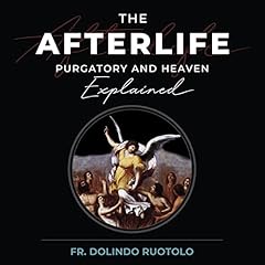 Couverture de The Afterlife