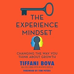 The Experience Mindset cover art