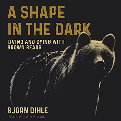 A Shape in the Dark cover art