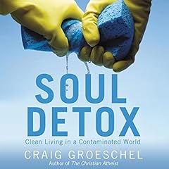 Soul Detox cover art