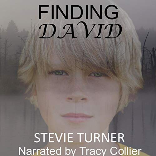 Finding David cover art