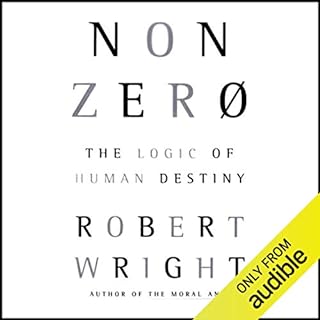 Nonzero Audiolibro Por Robert Wright arte de portada