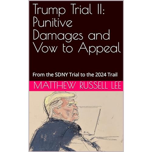 Trump Trial II: Punitive Damages and Vow to Appeal Audiobook By Matthew Russell Lee cover art